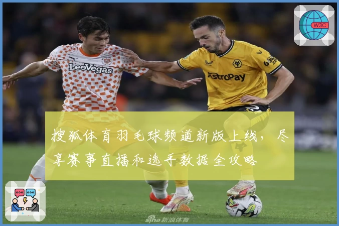 搜狐体育羽毛球频道新版上线，尽享赛事直播和选手数据全攻略