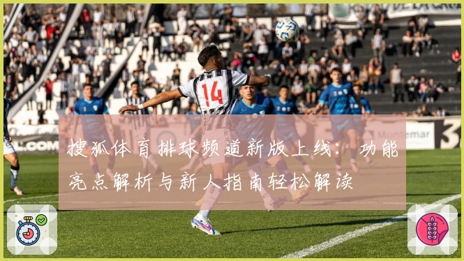 搜狐体育排球频道新版上线：功能亮点解析与新人指南轻松解读