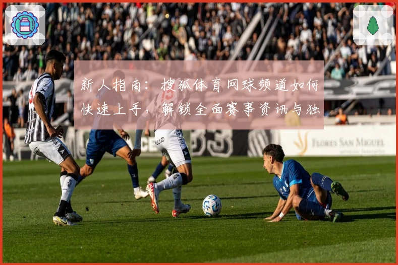 新人指南：搜狐体育网球频道如何快速上手，解锁全面赛事资讯与独家内容