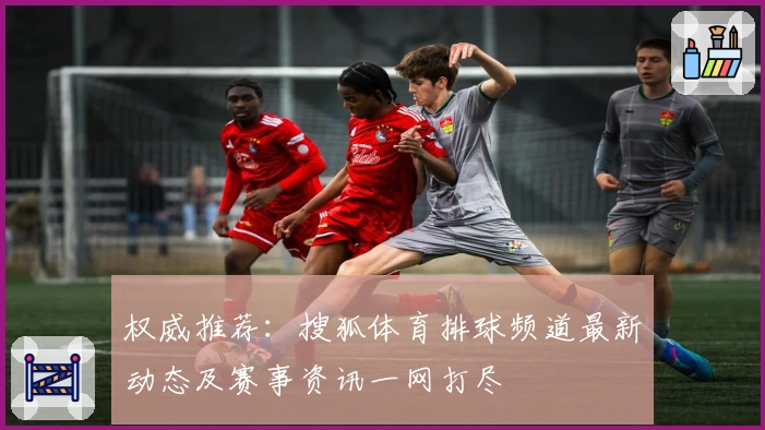 权威推荐：搜狐体育排球频道最新动态及赛事资讯一网打尽