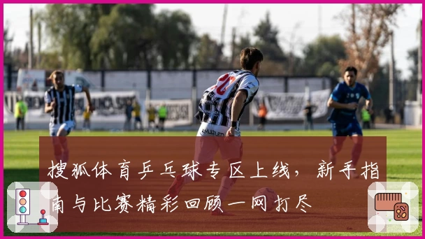 搜狐体育乒乓球专区上线，新手指南与比赛精彩回顾一网打尽