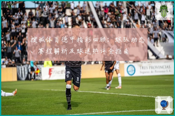 搜狐体育德甲精彩回顾：球队动态、赛程解析及球迷热评全指南